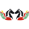 Air Burkina logotype