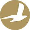 Cham Wings Airlines