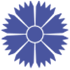 Belavia logotype