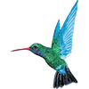 Caribbean Airlines logotype