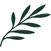 Cyprus Airways logotype
