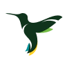 CM Airlines logotype