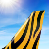 Tigerair Taiwan logotype