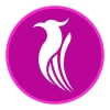Berniq Airways logotype