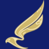 Shaheen Air International