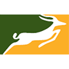 Precision Air logotype