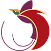 Air Niugini Air Niugini