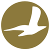 at DAM  logotype