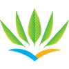 Air Caraibes logotype