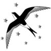 Asian Wings Airways